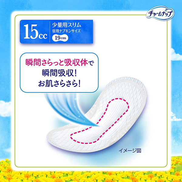 【アウトレット品】チャームナップ 吸水さらフィ 少量用 66枚入