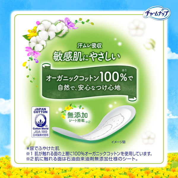 【アウトレット品】チャームナップ 吸水さらフィ パンティライナー コットン 3cc・84枚入