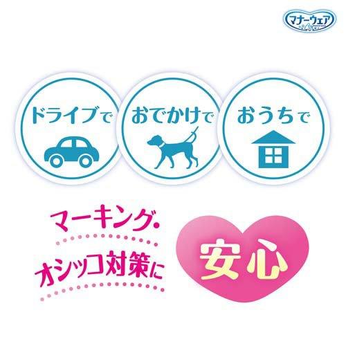 マナーウェア 男の子用 SSSサイズ トラッドテイスト 52枚入