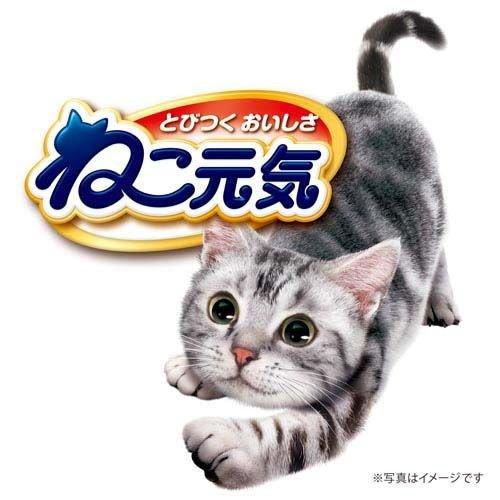 ねこ元気 お魚とお肉ミックス まぐろ・白身魚・チキン・緑黄色野菜入り 1kg