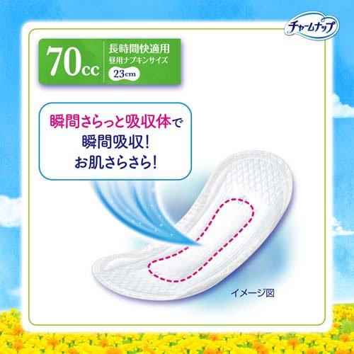 【アウトレット品】チャームナップ 吸水さらフィ 長時間快適用 70cc・16枚入