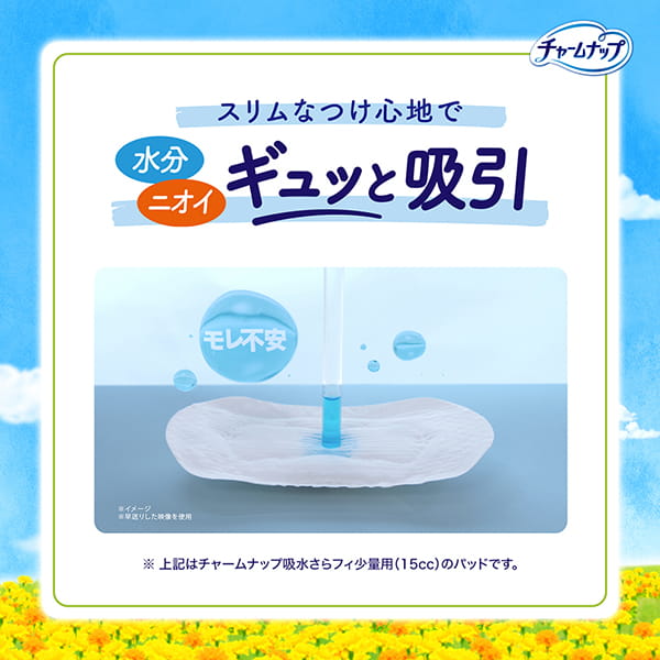【アウトレット品】チャームナップ 吸水さらフィ 中量用 50cc・76枚入