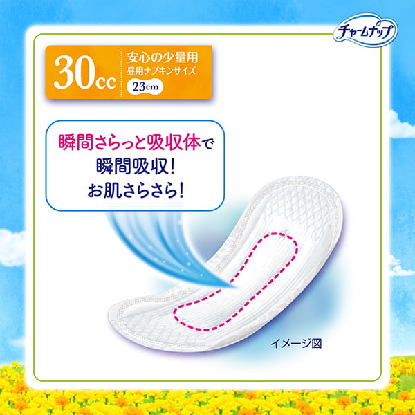 【アウトレット品】チャームナップ 吸水さらフィ 安心の少量用 消臭タイプ 30cc・44枚入